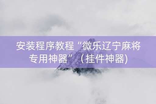 安装程序教程“微乐辽宁麻将专用神器”（挂件神器)