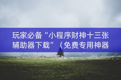 玩家必备“小程序财神十三张辅助器下载”（免费专用神器)