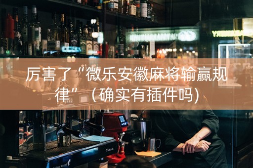 厉害了“微乐安徽麻将输赢规律”（确实有插件吗)