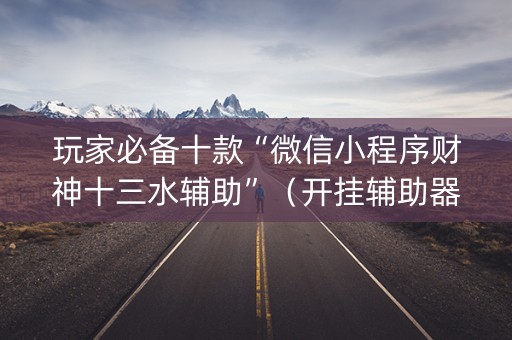 玩家必备十款“微信小程序财神十三水辅助”（开挂辅助器插件)