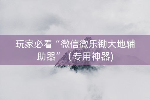 玩家必看“微信微乐锄大地辅助器”（专用神器)