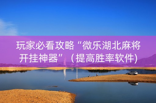 玩家必看攻略“微乐湖北麻将开挂神器”（提高胜率软件)