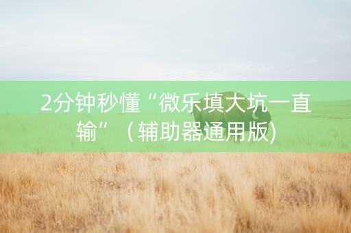 2分钟秒懂“微乐填大坑一直输”（辅助器通用版)