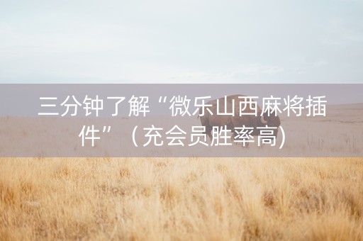 三分钟了解“微乐山西麻将插件”（充会员胜率高)