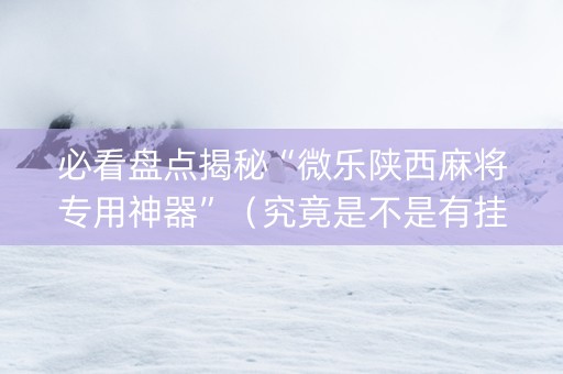 必看盘点揭秘“微乐陕西麻将专用神器”（究竟是不是有挂)