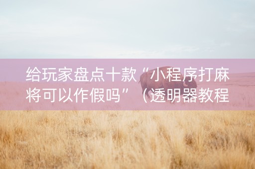 给玩家盘点十款“小程序打麻将可以作假吗”（透明器教程)