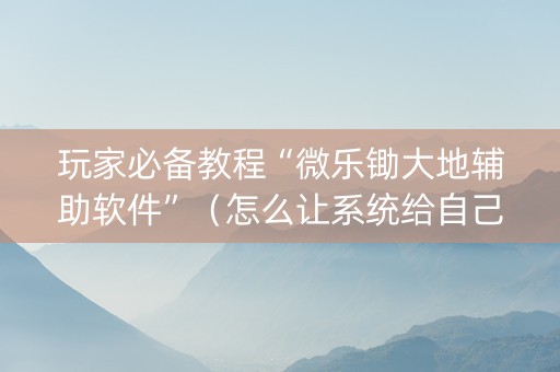 玩家必备教程“微乐锄大地辅助软件”（怎么让系统给自己好牌)