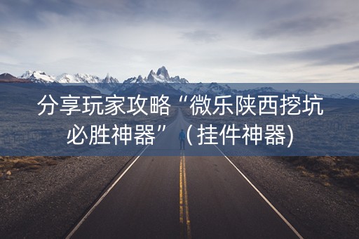 分享玩家攻略“微乐陕西挖坑必胜神器”（挂件神器)