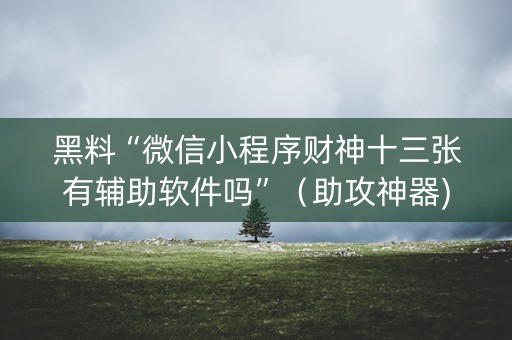 黑料“微信小程序财神十三张有辅助软件吗”（助攻神器)