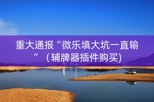 重大通报“微乐填大坑一直输”（辅牌器插件购买)