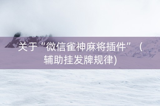 关于“微信雀神麻将插件”（辅助挂发牌规律)