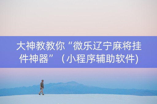 大神教教你“微乐辽宁麻将挂件神器”（小程序辅助软件)
