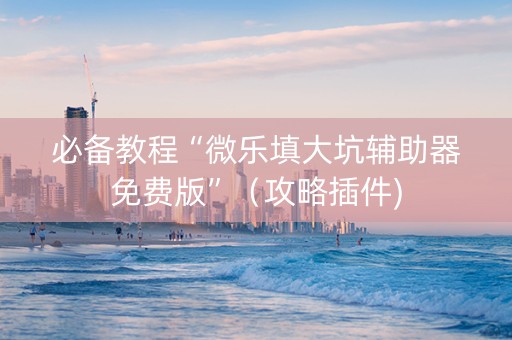 必备教程“微乐填大坑辅助器免费版”（攻略插件)