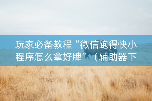 玩家必备教程“微信跑得快小程序怎么拿好牌”（辅助器下载)