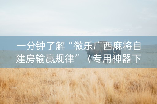 一分钟了解“微乐广西麻将自建房输赢规律”（专用神器下载)