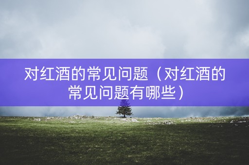 对红酒的常见问题（对红酒的常见问题有哪些）