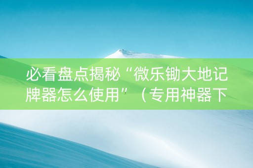 必看盘点揭秘“微乐锄大地记牌器怎么使用”（专用神器下载)