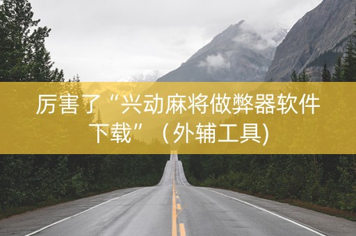 厉害了“兴动麻将做弊器软件下载”（外辅工具)