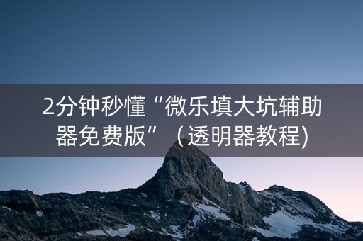 2分钟秒懂“微乐填大坑辅助器免费版”（透明器教程)