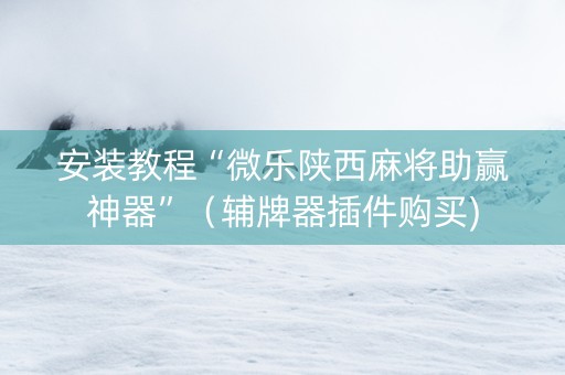 安装教程“微乐陕西麻将助赢神器”（辅牌器插件购买)