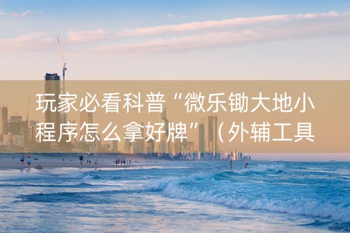 玩家必看科普“微乐锄大地小程序怎么拿好牌”（外辅工具)