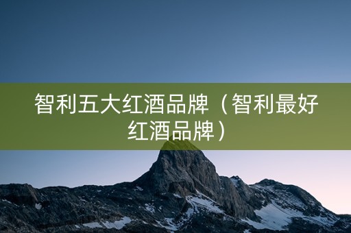 智利五大红酒品牌（智利最好红酒品牌）