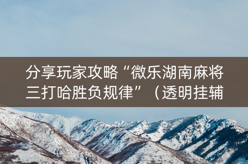 分享玩家攻略“微乐湖南麻将三打哈胜负规律”（透明挂辅助器)