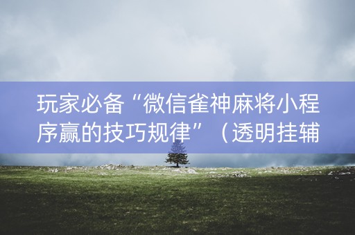 玩家必备“微信雀神麻将小程序赢的技巧规律”（透明挂辅助器)