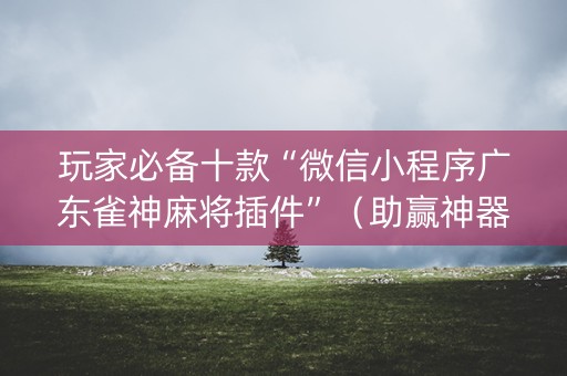 玩家必备十款“微信小程序广东雀神麻将插件”（助赢神器)