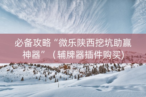 必备攻略“微乐陕西挖坑助赢神器”（辅牌器插件购买)