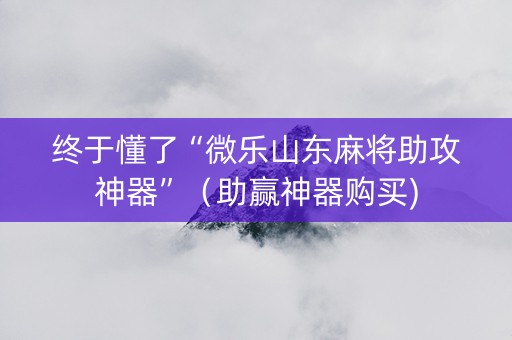 终于懂了“微乐山东麻将助攻神器”（助赢神器购买)