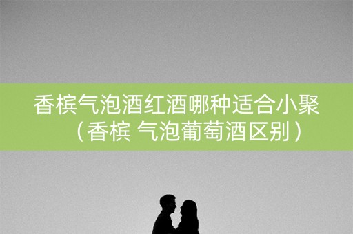 香槟气泡酒红酒哪种适合小聚（香槟 气泡葡萄酒区别）