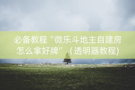 必备教程“微乐斗地主自建房怎么拿好牌”（透明器教程)