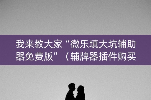 我来教大家“微乐填大坑辅助器免费版”（辅牌器插件购买)