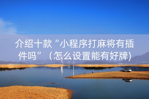 介绍十款“小程序打麻将有插件吗”（怎么设置能有好牌)