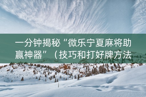一分钟揭秘“微乐宁夏麻将助赢神器”（技巧和打好牌方法)