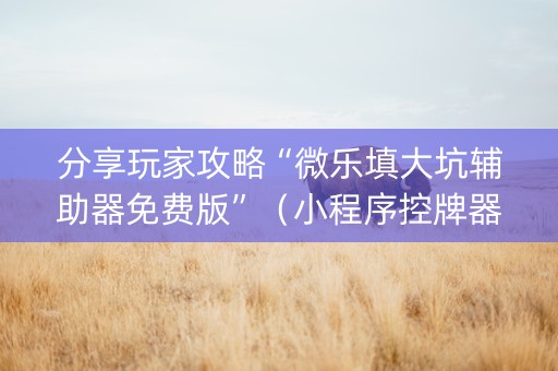 分享玩家攻略“微乐填大坑辅助器免费版”（小程序控牌器)