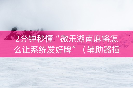 2分钟秒懂“微乐湖南麻将怎么让系统发好牌”（辅助器插件)