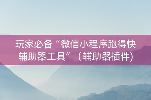 玩家必备“微信小程序跑得快辅助器工具”（辅助器插件)