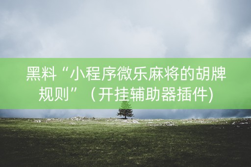 黑料“小程序微乐麻将的胡牌规则”（开挂辅助器插件)