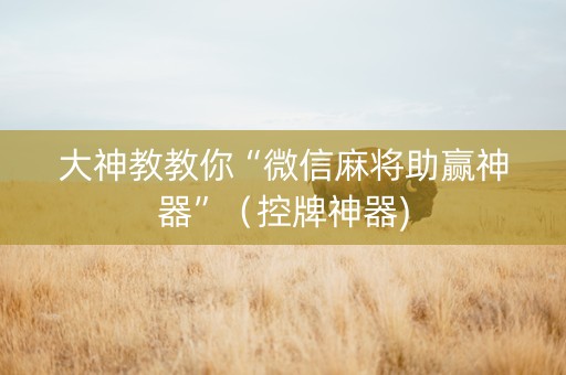 大神教教你“微信麻将助赢神器”（控牌神器)
