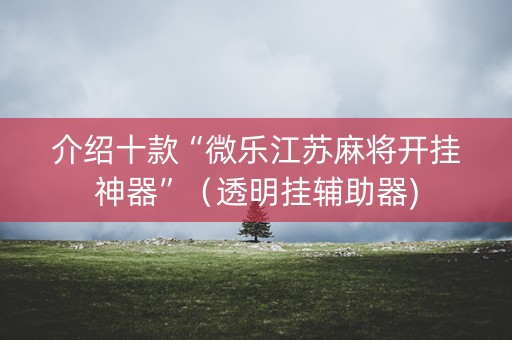 介绍十款“微乐江苏麻将开挂神器”（透明挂辅助器)