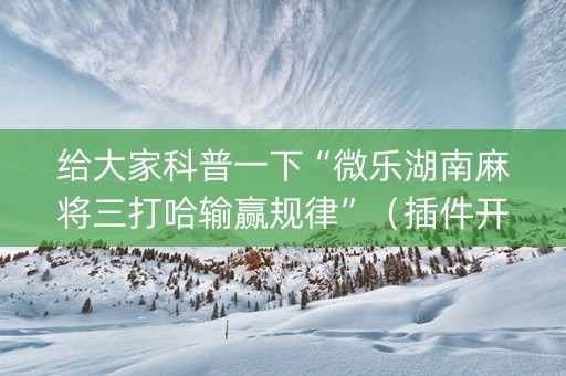 给大家科普一下“微乐湖南麻将三打哈输赢规律”（插件开挂免费AI)