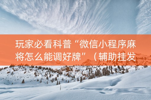玩家必看科普“微信小程序麻将怎么能调好牌”（辅助挂发牌规律)