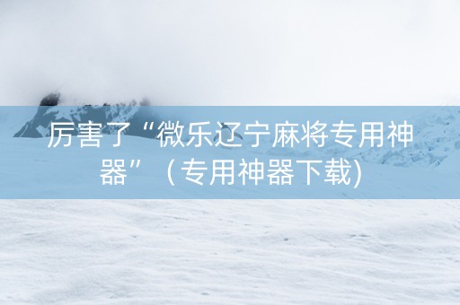 厉害了“微乐辽宁麻将专用神器”（专用神器下载)