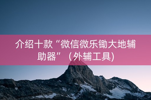 介绍十款“微信微乐锄大地辅助器”（外辅工具)