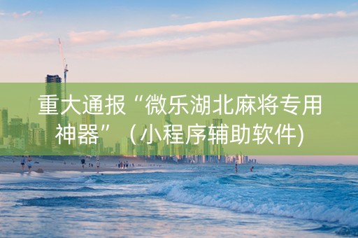 重大通报“微乐湖北麻将专用神器”（小程序辅助软件)