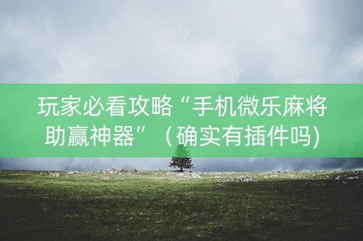 玩家必看攻略“手机微乐麻将助赢神器”（确实有插件吗)