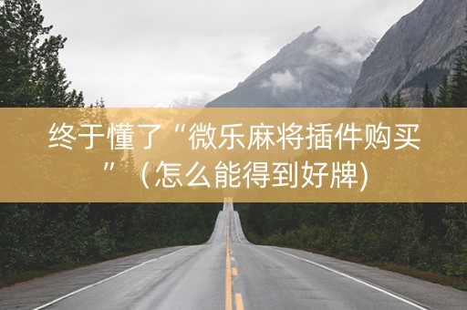 终于懂了“微乐麻将插件购买”（怎么能得到好牌)