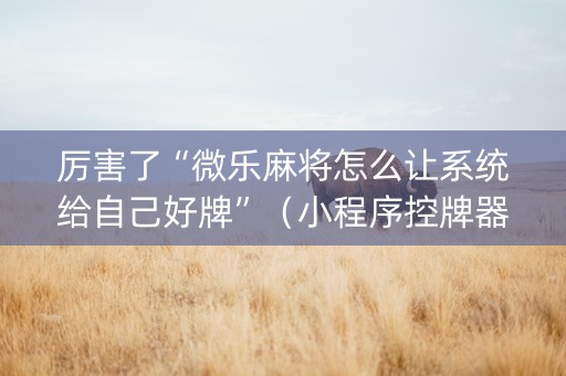 厉害了“微乐麻将怎么让系统给自己好牌”（小程序控牌器)